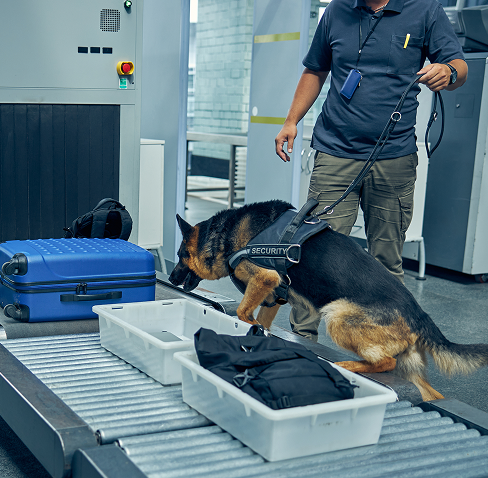 Trace Detection